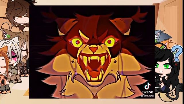 🐾реакция котов-воителей на тт🐾 могут быть ошибки и ляпы смотреть онлайн