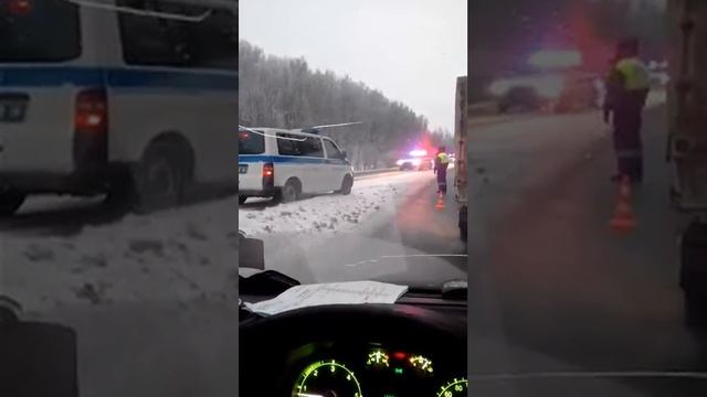 Везут ёлку в Кремль (мат) смотреть онлайн