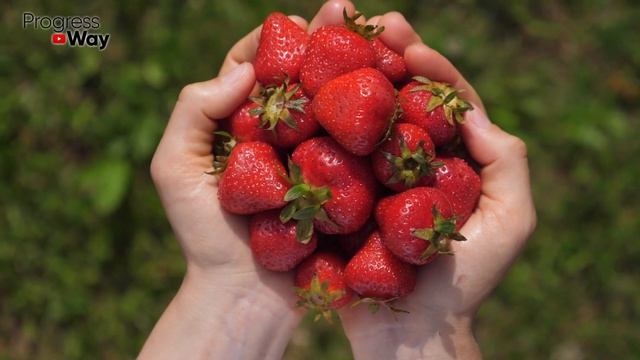 Онколог: Раковые Клетки Мрут Пачками, Если Есть… смотреть онлайн