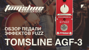 Обзор педали эффектов TOMSLINE AGF-3