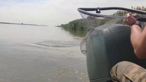 Ловля судака на джиг. Астрахань, Главный банк. 2019 г.