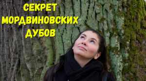 ШИШКИН СНОВА В МАРТЫШКИНО?!