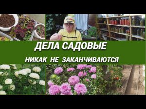 Дела садовые все никак не заканчиваются@SubTatiana