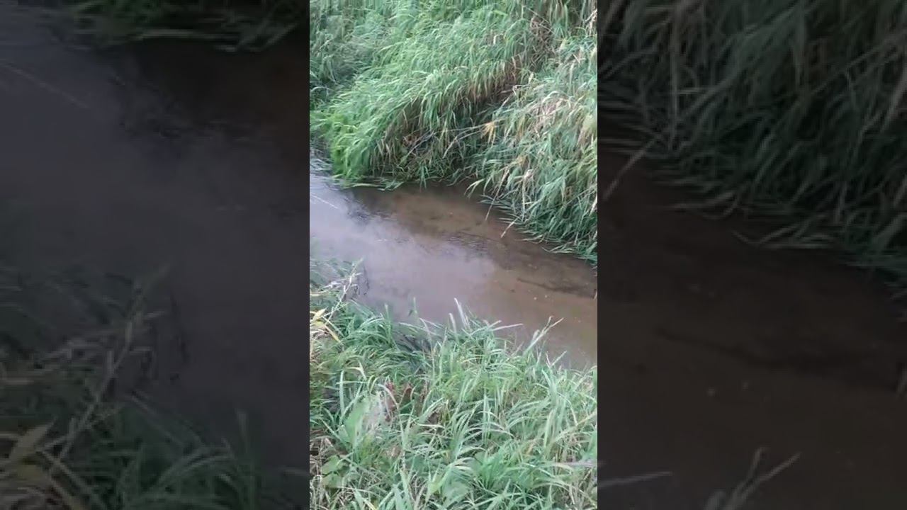 24 сентября 2022 г. смотреть онлайн