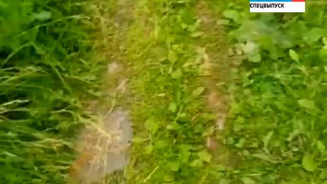 после пожара в УДМУРТИИ смотреть онлайн