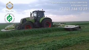 Семена люцерны Плато из Германии для Казахстана #семена #люцерна #жоңышқа #казахстан