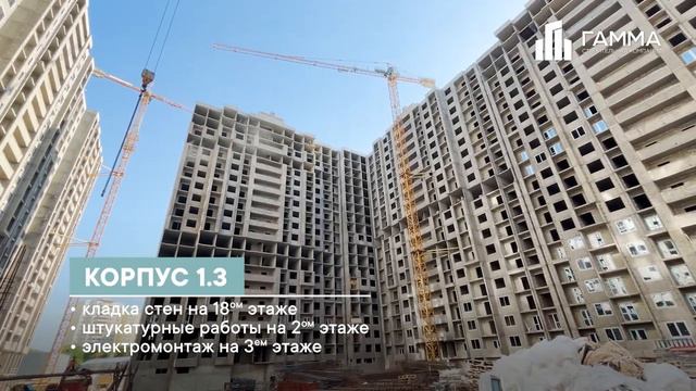 Июнь 2024