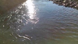 спуск по горной реке на водомете лодка Абакан 380 джет мотор голфстрим 25 джет
