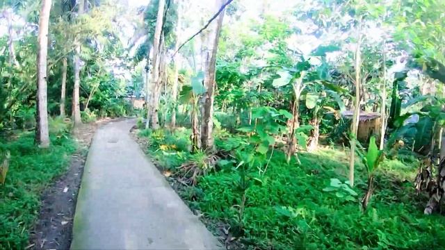 Maike Mk8 Ride: Riding Tru the Village with the Most Hanging Bridge in Kalibo смотреть онлайн