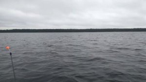 Озеро Верхнее Куйто Пертигуба, октябрь.
