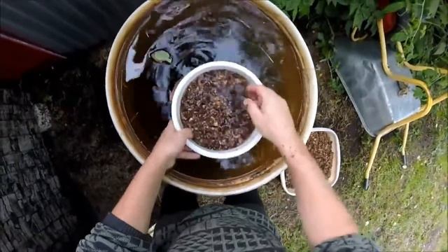 Кедр на даче Сбор,переработка урожаяHD 2019 смотреть онлайн