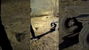 СЕНСАЦИЯ, оседлали дикую лошадь )