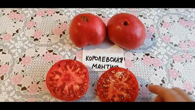 ??ТОМАТ КОРОЛЕВСКАЯ МАНТИЯ. ОБЗОР СОРТА