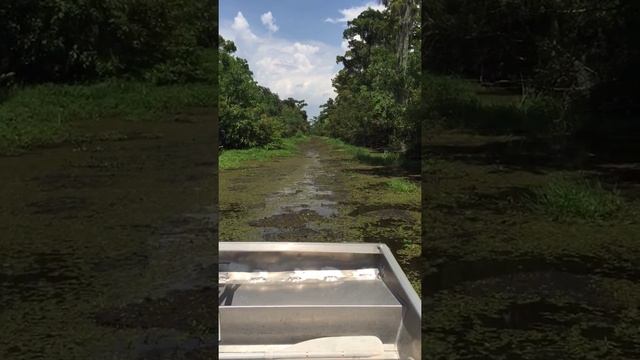 Airboat adventures Louisiana