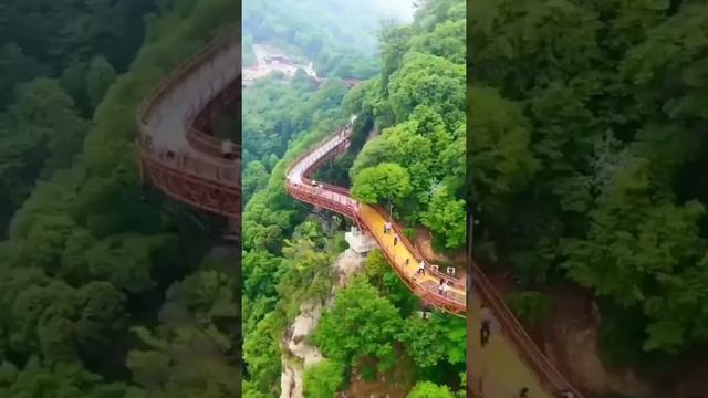 Tourists  visit shaohua Mountain |National  Forest Park |Glass  walkway 😬|victory junction |CHINA