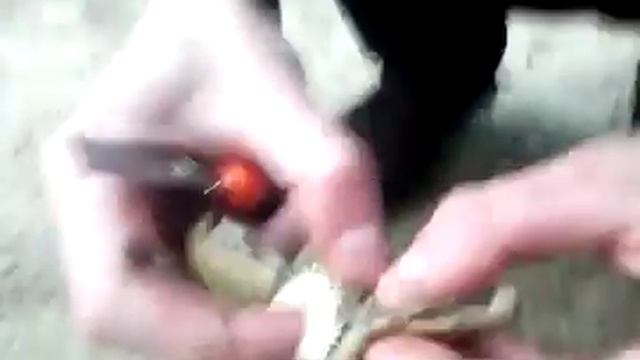 Иноземные грибы смотреть онлайн