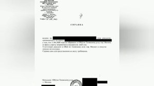 Потерял паспорт?Не являясь гражданином РФ??