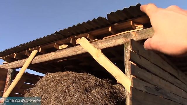26 Что стало с домом и участком за год. Художник в деревне. ВЫВОДЫ