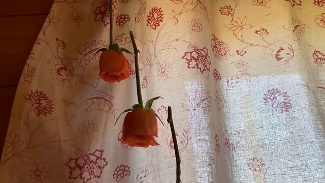 Букет из сухих роз своими руками смотреть онлайн