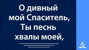 Прямая трансляция 27.11.2021 Адвентисты Химки