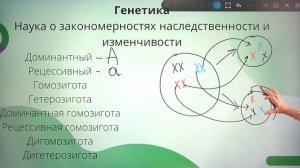Генетика. Разбор основных терминов. ЕГЭ 2022 по БИОЛОГИИ.
