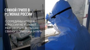 В регионах России обнаружен свиной грипп