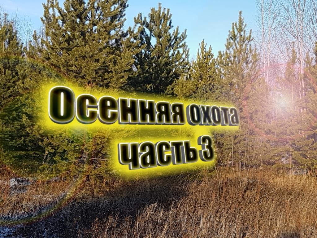 Осенняя охота часть 3