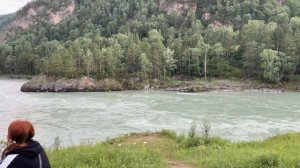 Кемпинг Сосновый берег. Горный Алтай