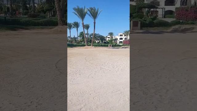 Regency Plaza Aqua Park and Spa Resort  ноябрь2018
 Пляж
