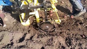 Картофелекопалка КВМ 01 в действии. МБ 2.