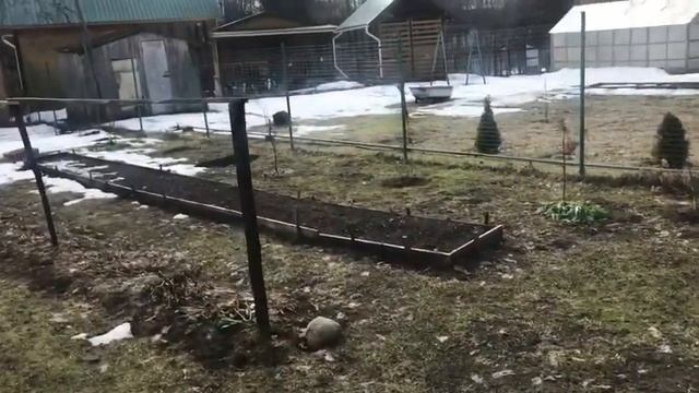 НА ДАЧА. 25.03.23г. смотреть онлайн