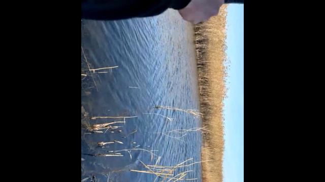 Рыбалка на открытой воде 2 января смотреть онлайн