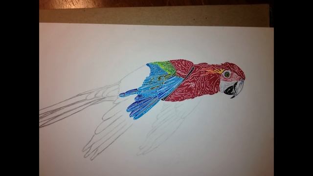 Holon Ink - Macaw Part 2 Pen/Ink Drawing Time Lapse / Speed Drawing смотреть онлайн