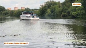 Какая песня!! Белые крылья - полёт неземной!