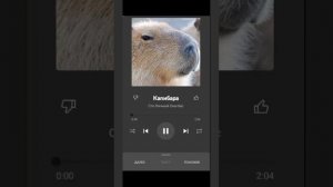 Трек Капибара (1 ЧАС) (ft. Сто-личный Она-нас)
