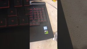 Hp omen 15, Core i5 7300Hq/1000gb hdd/12gb (32gb) DDR4/GeForce gtx1050/FULL HD IPS