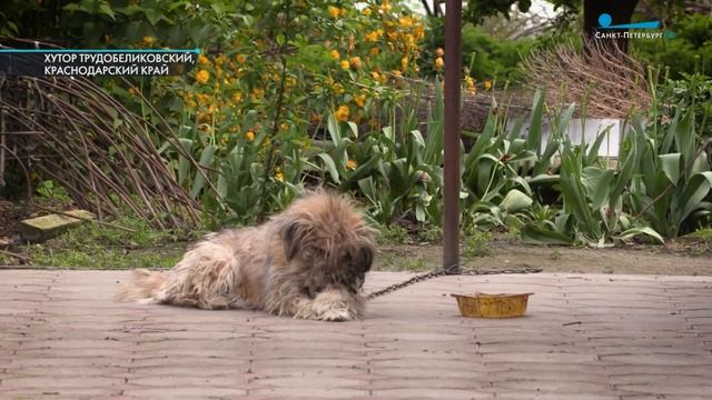 Поездка из Петербурга в Крым на автобусе. Регулярный рейс в Симферополь смотреть онлайн