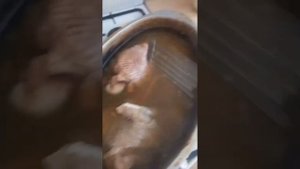 Оренбургский казахский суп (салма)