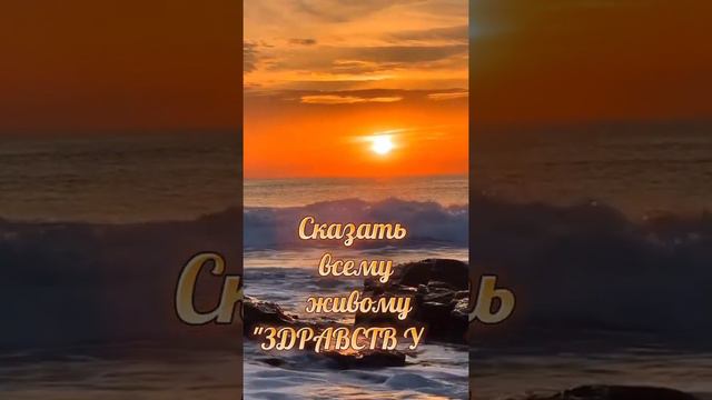 Красивое пожелание доброго утра#доброеутро #доброеутречко #пожеланиядрузьям #сдобрымутром