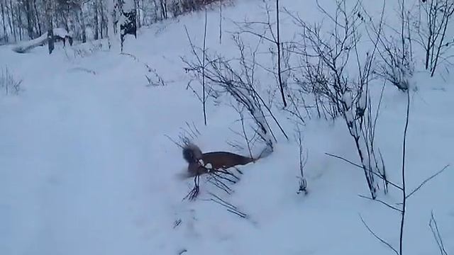 Буран смотреть онлайн