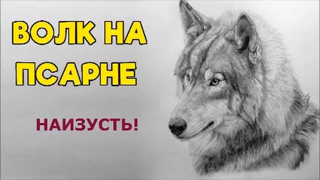 ВОЛК НА ПСАРНЕ / басня / УЧИМ НАИЗУСТЬ / ВО СНЕ / ИВАН КРЫЛОВ