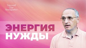 Аскезы огрубляют сердце женщины. Как общаться с нуждающимися людьми в страсти? (Торсунов О. Г.)