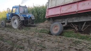 Заготовка силоса 2023. И снова грязь. МТЗ 82, КПИ 2,4, ЛТЗ.
