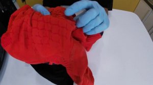 X-bionic twyce 4.0. Обзор не термобелья