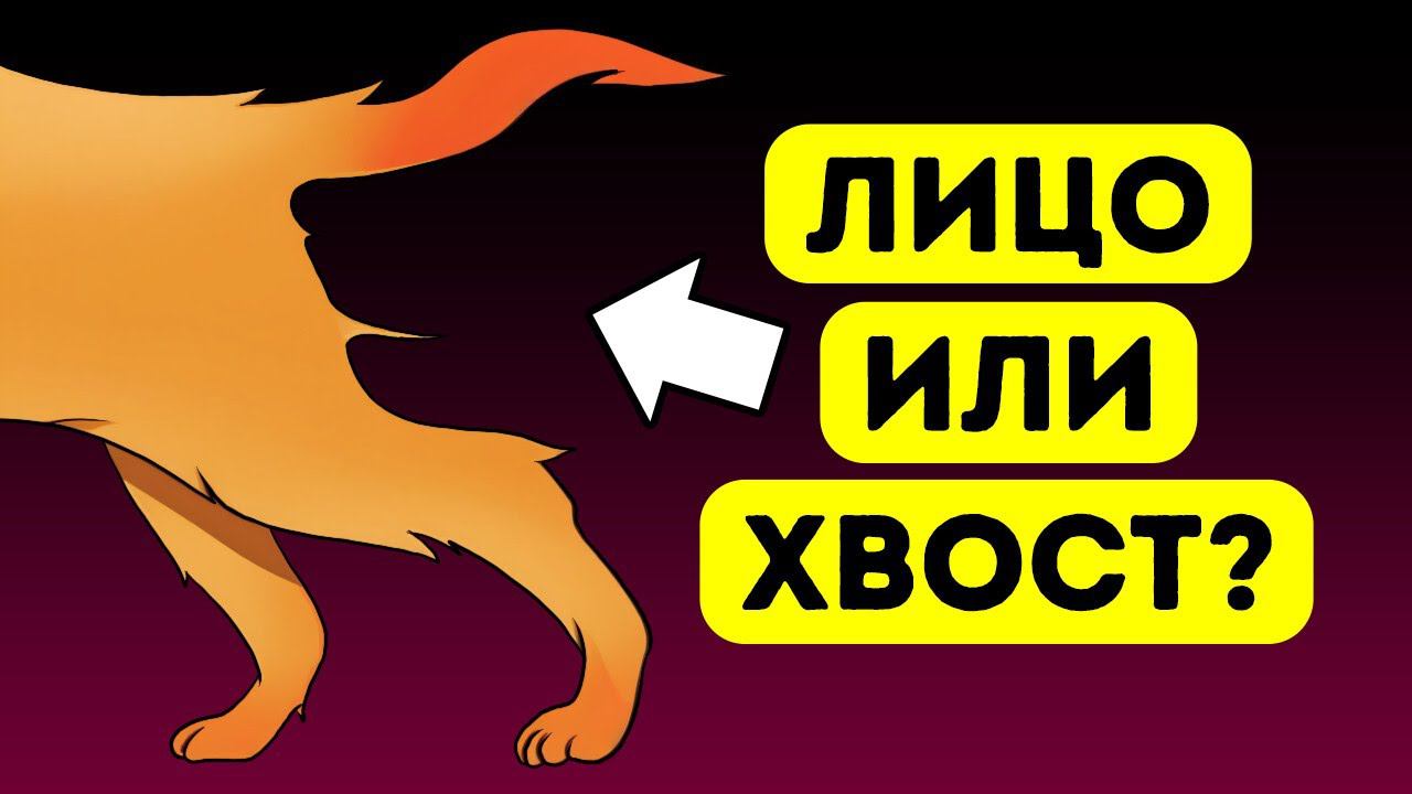 70+ оптических иллюзий, которые точно вас запутают