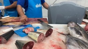 OAE. Sharjah. Fish market. Рыбный рынок в Шардже.