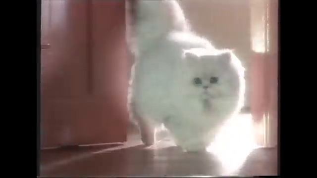 90er Jahre Werbung смотреть онлайн