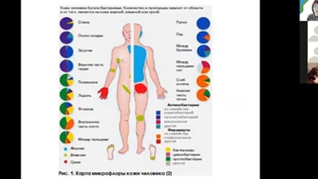 С. А. Лисовская. Экология микробов. Микрофлора тела человека. Мед-биол. смотреть онлайн