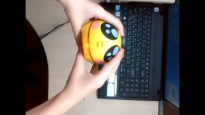 Обзор колонки кошки