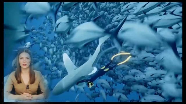 Халява! Скачать игру БЕСПЛАТНО! в Epic Games Store / ABZU